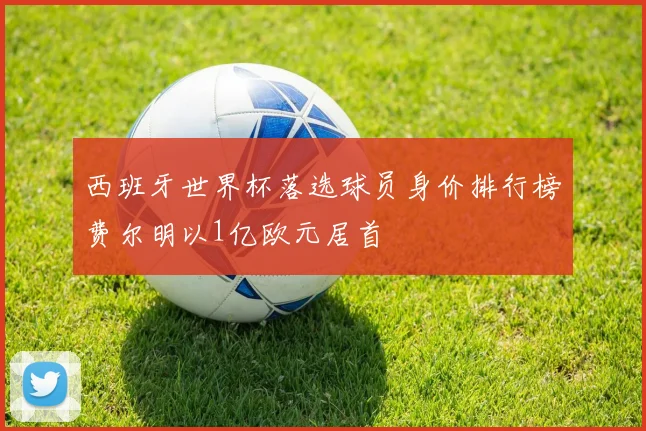 西班牙世界杯落选球员身价排行榜费尔明以1亿欧元居首